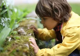 Developing School Garden Pic