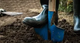 Soil Pic