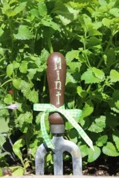 2023Q3 FromGarden3