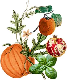 Four P's of Fall