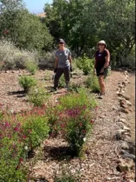 cvbg2