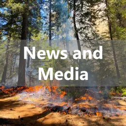 News and Media