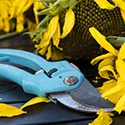 bipass pruner
