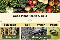 Specialty Crops button