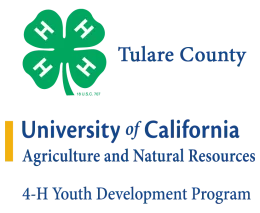 TC 4-H Logo