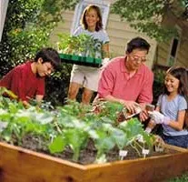 Growing produce helps avoid Food Insecurity and is Fun - Courtesy CCHealth
