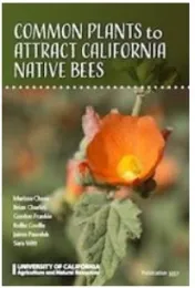 bee plants frankie