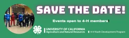save the date