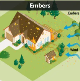 Embers