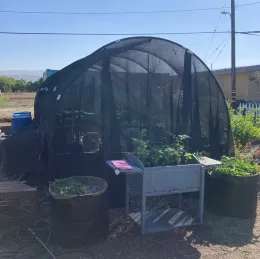 Greenhouse