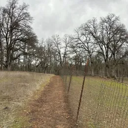 Fence