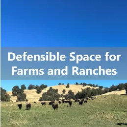 DSpaceFarm.jpg