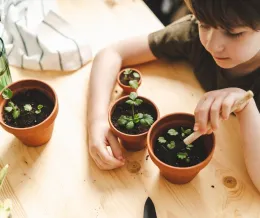 kid planting