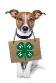 dog logo