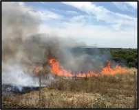 wildlandfire_icon