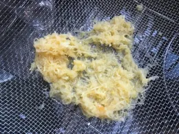 Membranes Removed