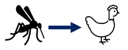 wnv