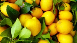 fruit-3287620_1280