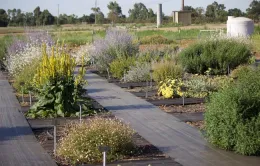 USDA field plot