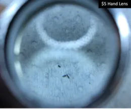 Scopes for Pest Id