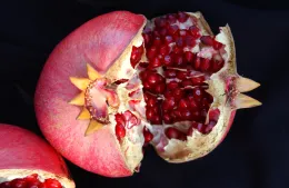 Pomegranates #2