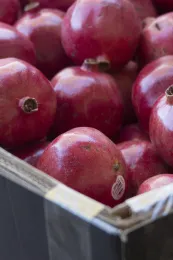 Pomegranates #3
