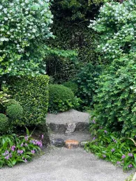 Purple ground orchids and white mock orange add a bit of color to this primarily green corner at Shisen-do garden in Kyoto. J.C. Lawrence
