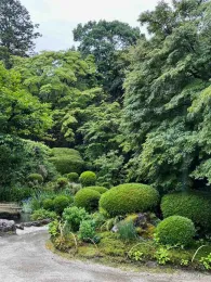Many shades of green create a peaceful scene at Shisen-do garden in Kyoto. J.C. Lawrence