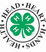 4h
