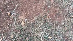 Picture1
