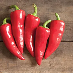 Pepper_Hot_Johnny's Selected Seeds, johnnyseeds.com