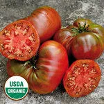 Photo courtesy of Seed Savers Exchange