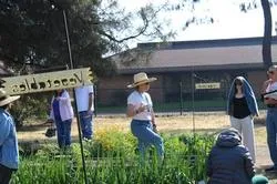 people in garden