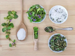 Herbs