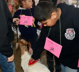 Kings Co. 4-H Goat