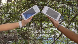 Two hands holding up two Pax a920 credit card machines, vines in the background