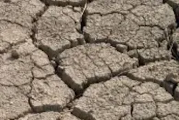 Deep cracks in dry soil from drought by Jack Kelly Clark UC cropped