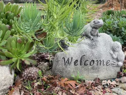 Master Gardener develop Los Guilicos Demonstration and Teaching Garden.jpg