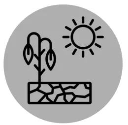 crop water stress