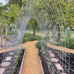 Get seasonal garden advice for Sonoma County from Master Gardeners