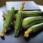 Squash_Summer_Bush Baby_Territorial Seed Company