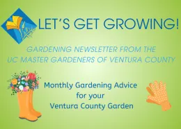 web banner