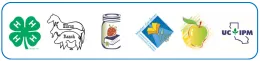 Newsletter Sign-Up