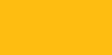 ANR Gold_fdbd10