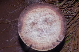 The new Fusarium wilt disease of queen palms and Mexican fan palms is difficult to confirm from leaf samples; thus, in the presence of symptomatic leaves, internal trunk decay is necessary for disease confirmation. © 2018 D. R. Hodel.
