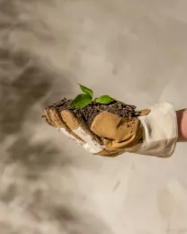 a gloved hand holding garden soil