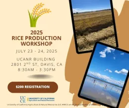 2025 Rice Production Workshop
