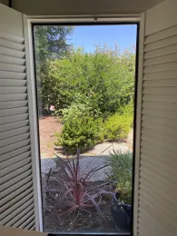 View of crape myrtle from the living room.
