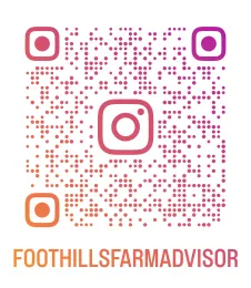 instagram qr