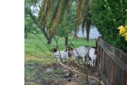 Small Acreage Landowners website